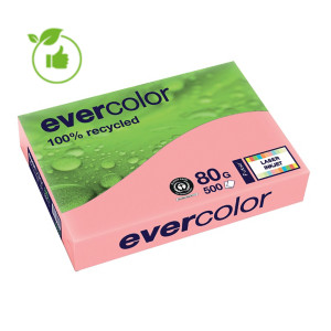 Gekleurd papier Evercolor Clairefontaine roze A4 80g, 5 riemen van 500 vellen