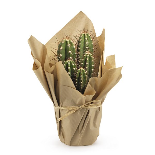 Gemetalliseerd zilver kraftpapier op rol - 3