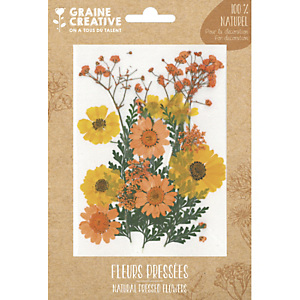 GRAINE CREATIVE Sachet de 18 fleurs séchées PRAIRIE JAUNE pour la création de bougies, objets en bois... GRAINE CREATIVE Sachet de 18 fleurs séchées PRAIRIE JAUNE pour la création de bougies, objets en bois...