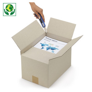 Höhenvariable Graspapier-Kartons, 2-wellig