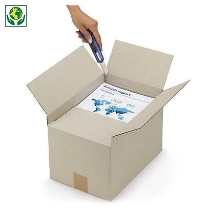 Höhenvariable Graspapier-Kartons, 2-wellig - 1