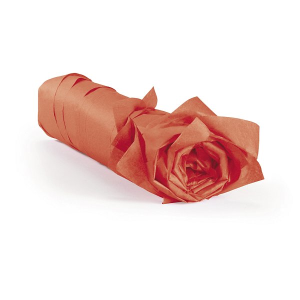 Hodvábny papier v balení, 50x75cm, červený | RAJA - 8