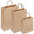 INAPA Lot 50 sac en papier kraft brun 100 g/m². Poignées torsadées. Dimension 32x44cm. Soufflet latéral 12 cm - 1