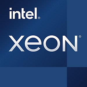 Intel Xeon E-2324G, Intel Xeon E, LGA 1200 (Socket H5), 14 nm, Intel, E-2324G, 3,1 GHz BX80708E2324G