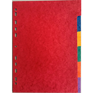 Intercalaires maxi A4+ carte lustrée 175 g/m² - 6 onglets couleur