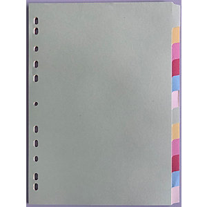 Intercalaires neutres A4 carte standard 175 g/m² - 12 onglets couleur