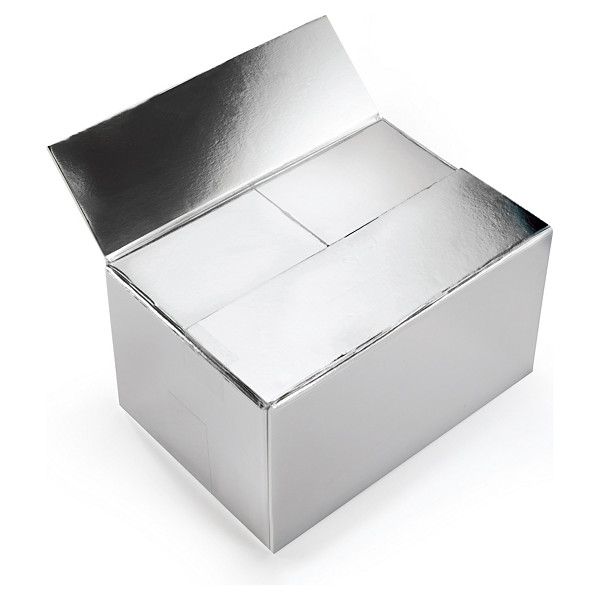 Isothermische doos Isostar 27 x 27 x 28 cm - 1