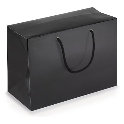 Taška v tvare krabice 310x220x150mm, vystužená, čierna - 1