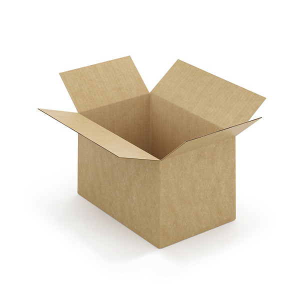 Kartónová krabica 295x195x190 mm, automatické dno, hnedá, klopová, trojvrstvová vlnitá lepenka (3VVL) | RAJA - 1