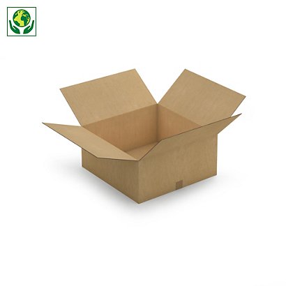 Kartónová krabica 550x550x250mm, hnedá, klopová, päťvrstvová vlnitá lepenka (5VVL) | RAJA - 1