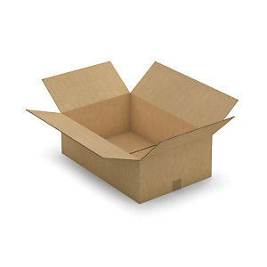 Kartonnen doos in dubbelgolf 60x40x20 cm, set van 10