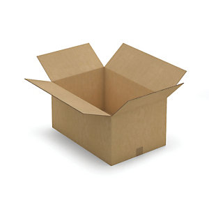 Kartonnen doos in dubbelgolf 60x40x30 cm, set van 10
