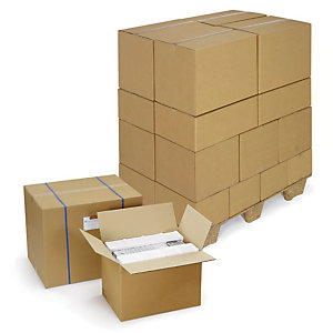 Kartonnen doos in dubbelgolf Raja 31x22x15 cm