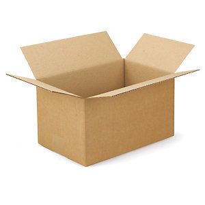 Kartonnen doos in enkelgolf 30x20x17 cm, set van 25