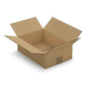Kartonnen doos in enkelgolf 31x21,5x10 cm, set van 25