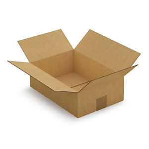 Kartonnen doos in enkelgolf 31x21,5x10 cm