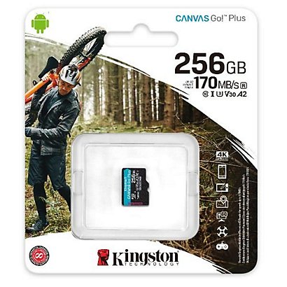KINGSTON, Memory card, 256gb microsdxc canvas go plus, SDCG3/256GBSP - 1