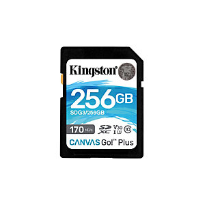 Kingston Technology Canvas Go! Plus, 256 Go, SD, Classe 10, UHS-I, 170 Mo/s, 90 Mo/s SDG3/256GB