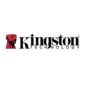 Kingston Technology Kingston IronKey Keypad 200, 256GB IKKP200/256GB