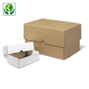 Krabice s odnímateľným vekom 3VVL, trojvrstvové, hnedé, formát A3, A3+ | RAJA