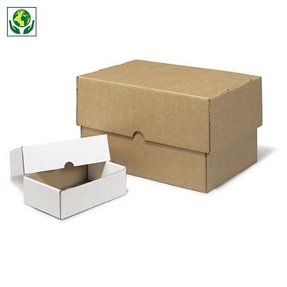 Krabice s odnímateľným vekom 3VVL, trojvrstvové, hnedé, formát A3, A3+ | RAJA - 1