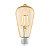 Lampadina LED a filamento ST64, Attacco E27, Potenza 4 W, Luce Bianca Calda - 1