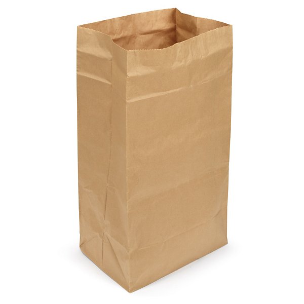 Large capacity brown paper bags, 450x660x290mm, pack of 100 - 2