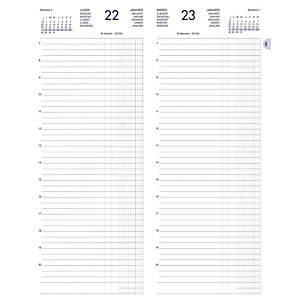 Lecas Agenda journalier LONG - 14 x 35 cm - Réglure € / C (recettes / dépenses) - 2024