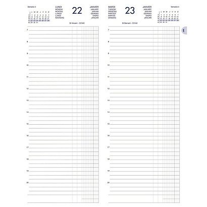 Lecas Agenda journalier LONG - 14 x 35 cm - Réglure € / C (recettes / dépenses) - 2024 - 1