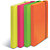 LEONARDI Cartella progetti ''Shocking file'' - Colori assortiti Fluo - Dorso 3 cm - F.to utile 23,5 x 34,5 cm. - 4