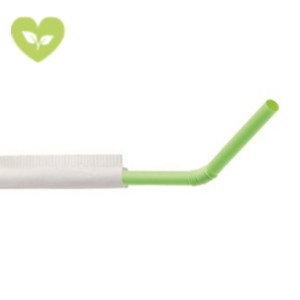 LEONE Cannuccia monouso bio in PLA, Ecologico, Ø 0,5 x 24 cm, Verde (confezione 400 pezzi) LEONE Cannuccia monouso bio in PLA, Ecologico, Ø 0,5 x 24 cm, Verde (confezione 400 pezzi)
