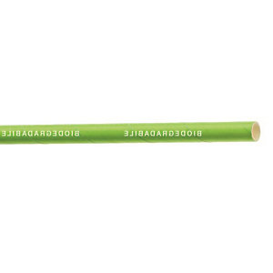 LEONE Cannuccia monouso in carta Bio, Ecologico, ø 0,6 x 21 cm, Verde (confezione 250 pezzi)