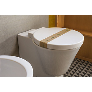 LEONE Striscia garanzia per WC Linea Cortesia Natura, Avana e verde (confezione 1.000 pezzi) LEONE Striscia garanzia per WC Linea Cortesia Natura, Avana e verde (confezione 1.000 pezzi)