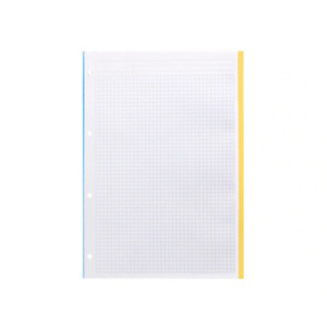 LIDERPAPEL Antartik Recambio, A4, 100 hojas, 90 gr. Cuadriculado 5 mm, 4 taladros, 5 bandas de color LIDERPAPEL Antartik Recambio, A4, 100 hojas, 90 gr. Cuadriculado 5 mm, 4 taladros, 5 bandas de color