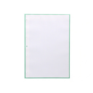 LIDERPAPEL Antartik Recambio, A4, 80 hojas, 90 gr. cuadriculado 5 mm, 4 taladros, 1 banda, marco color menta LIDERPAPEL Antartik Recambio, A4, 80 hojas, 90 gr. cuadriculado 5 mm, 4 taladros, 1 banda, marco color menta