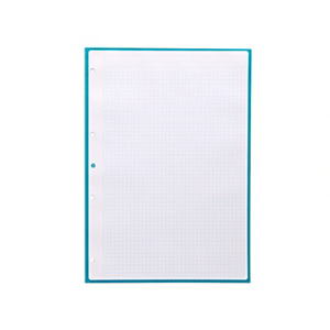 LIDERPAPEL Antartik Recambio, A4, 80 hojas, 90 gr. cuadriculado 5 mm, 4 taladros, 1 banda, marco color turquesa LIDERPAPEL Antartik Recambio, A4, 80 hojas, 90 gr. cuadriculado 5 mm, 4 taladros, 1 banda, marco color turquesa