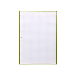 LIDERPAPEL Antartik Recambio, A4, 80 hojas, 90 gr. cuadriculado 5 mm, 4 taladros, 1 banda, marco color verde LIDERPAPEL Antartik Recambio, A4, 80 hojas, 90 gr. cuadriculado 5 mm, 4 taladros, 1 banda, marco color verde