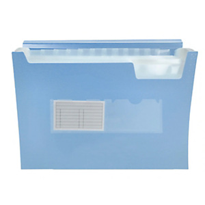 LIDERPAPEL Carpeta clasificador con fuelle, polipropileno A4 Celeste opaco 13 departamentos LIDERPAPEL Carpeta clasificador con fuelle, polipropileno A4 Celeste opaco 13 departamentos