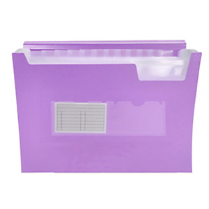 LIDERPAPEL Carpeta clasificador con fuelle, polipropileno A4 Lavanda opaco 13 departamentos LIDERPAPEL Carpeta clasificador con fuelle, polipropileno A4 Lavanda opaco 13 departamentos