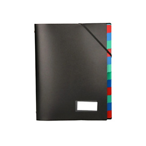LIDERPAPEL Carpeta clasificadora, polipropileno, A4, portafirmas, 12 departamentos, negro LIDERPAPEL Carpeta clasificadora, polipropileno, A4, portafirmas, 12 departamentos, negro