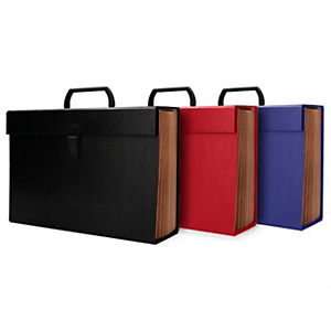 LIDERPAPEL Maletín clasificador con fuelle, 19 departamentos, 25,5 x 390 x 120 mm, colores surtidos no especificables LIDERPAPEL Maletín clasificador con fuelle, 19 departamentos, 25,5 x 390 x 120 mm, colores surtidos no especificables