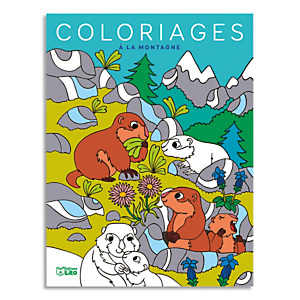 LITO DIFFUSION Livre de coloriage 64 pages 205x270, thème à la montagne LITO DIFFUSION Livre de coloriage 64 pages 205x270, thème à la montagne