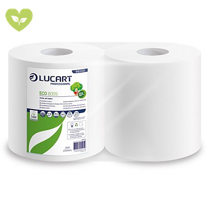 LUCART Bobina asciugatutto industriale Eco 800, 800 strappi, 2 veli, Goffratura micro, Bianco (confezione 2 pezzi)