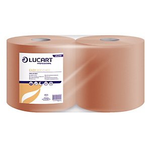 LUCART Essuie-tout papier recyclé double épaisseur - Bobine chamois 800 feuilles 22 x 30 cm LUCART Essuie-tout papier recyclé double épaisseur - Bobine chamois 800 feuilles 22 x 30 cm
