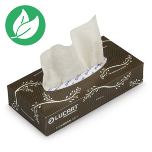 Lucart Mouchoir recyclé écoNatural - Boîte de 100 Lucart Mouchoir recyclé écoNatural - Boîte de 100