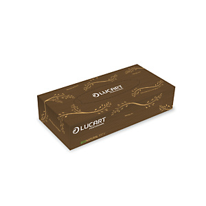 LUCART Mouchoirs Econatural, 40 boîtes de 100 mouchoirs