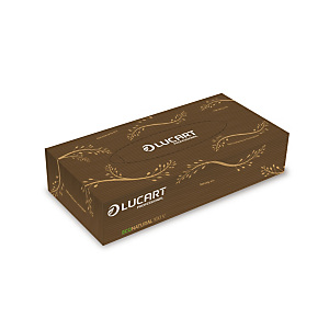 LUCART Veline cosmetiche 100V, 2 veli, Naturale, (confezione 100 pezzi) LUCART Veline cosmetiche 100V, 2 veli, Naturale, (confezione 100 pezzi)