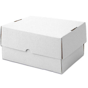 Marque generique 20 boîtes télescopiques, blanc, 330x250x100mm