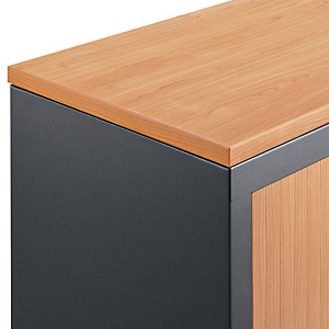Marque generique Top de finition pour armoire à rideaux confort L. 120 cm - Hêtre Marque generique Top de finition pour armoire à rideaux confort L. 120 cm - Hêtre