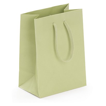 Matt finish laminated paper gift bags, sage green, 110x150x70mm, pack of 50 - 1